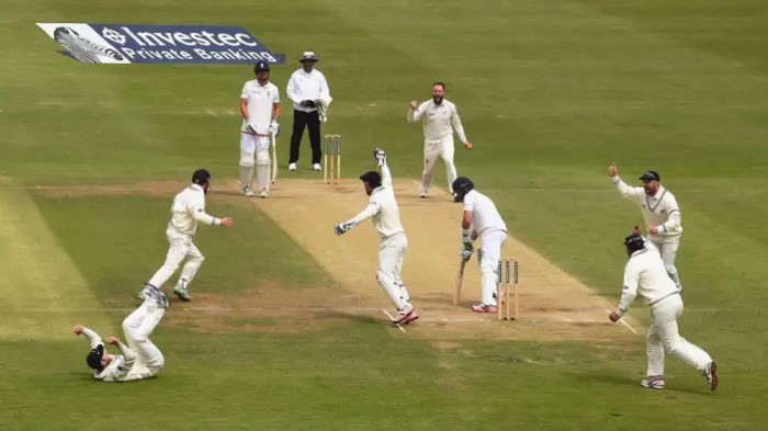 Most Extras Conceded in a Single Innings in Test