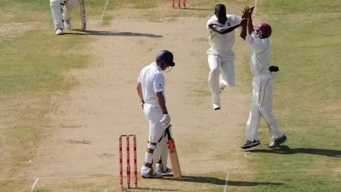Most Extras Conceded in a Single Innings in Test