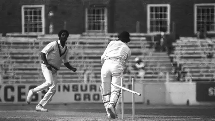 Most No Balls in a Test Match