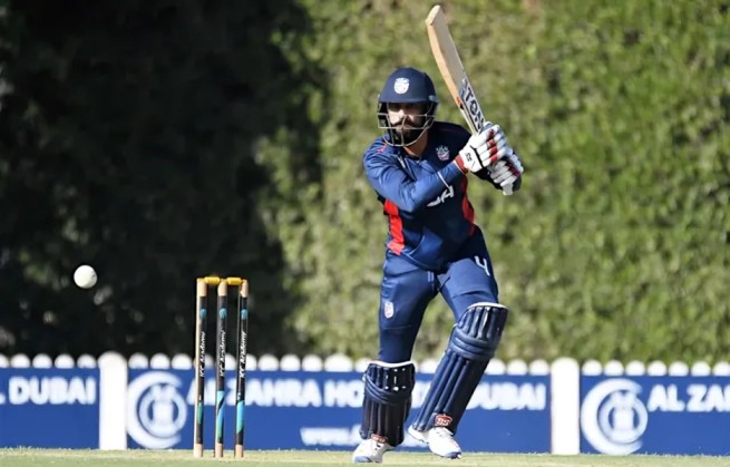 Most Sixes in a Single ODI Innings