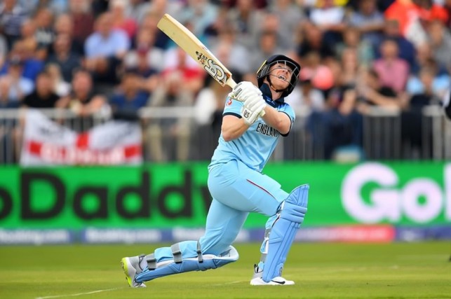 Most Sixes in a Single ODI Innings