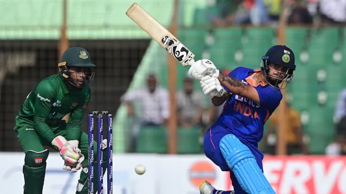 Most Fours in a Single ODI Innings