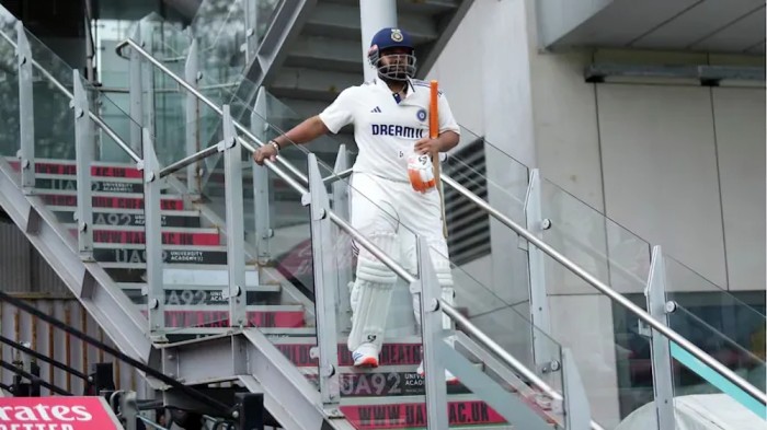 Rishabh Pant Miracle