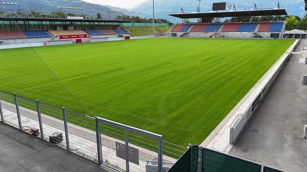 Liechtenstein vs Wales
